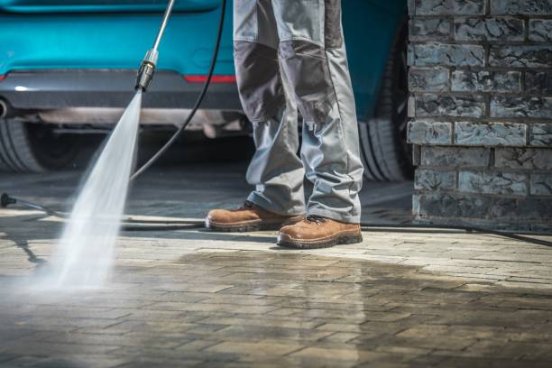 Best Roof Cleaning and Mildew Removal in Oak Grove, MN