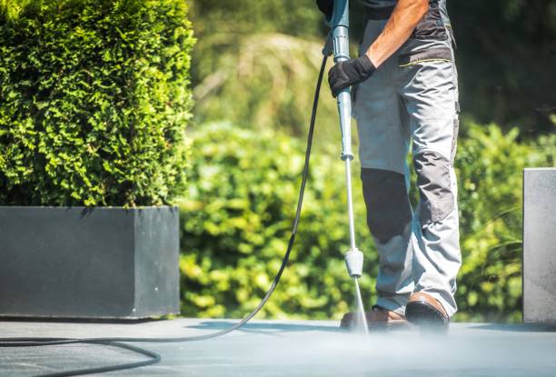 Best Brick and Stone Cleaning in Oak Grove, MN